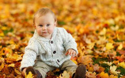 Berceau finlandais, le lit bébé tendance